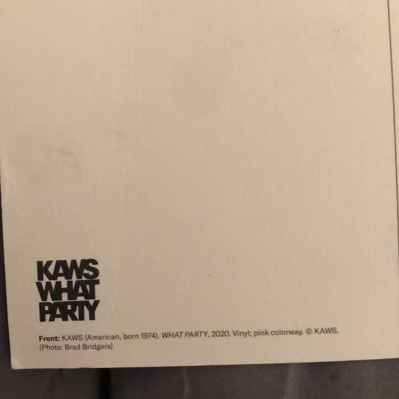 Highly collectible KAWS ! What Party?! @ Brooklyn Museum - Picture 3 of 4